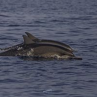 2018-11-08 06-54-58 211056001543