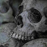 2018-11-09 15-17-19 211056001543