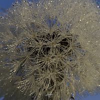 2018-11-01 06-12-22 211056001543