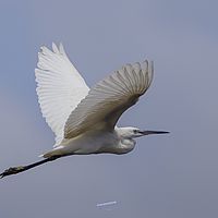 2018-11-19 09-24-26 211056001543-5
