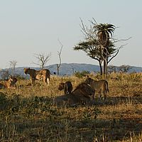 2012-05-04 07-34-35