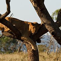 2012-05-04 07-42-20