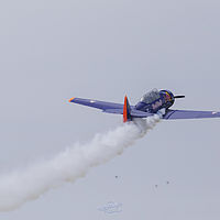 2019-06-09 12-06-22