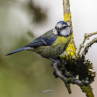 2019-05-26 08-21-32