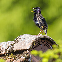 2019-05-26 08-28-35-2