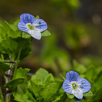2019-05-26 11-32-35
