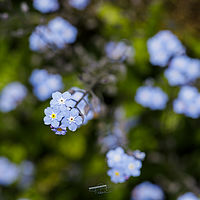 2019-05-26 11-39-49