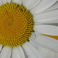 2019-05-26 11-43-38