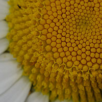 2019-05-26 11-44-31