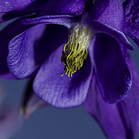 2019-05-26 11-46-00