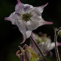 2019-05-26 11-47-45