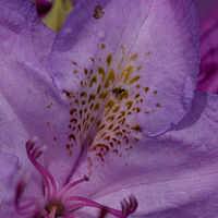 2019-05-26 11-48-19