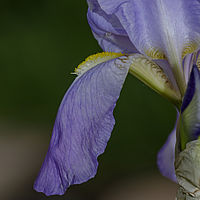 2019-05-26 11-50-35