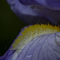 2019-05-26 11-51-37