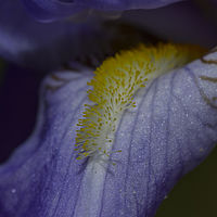 2019-05-26 11-52-51