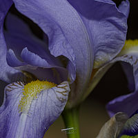 2019-05-26 11-53-31-2
