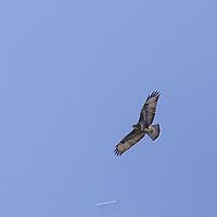 2019-07-21 07-45-58
