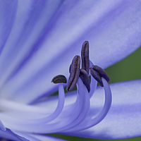 2019-08-25 04-34-01