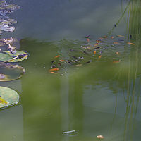 2019-08-25 04-36-35