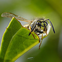 2019-08-25 09-55-32-2