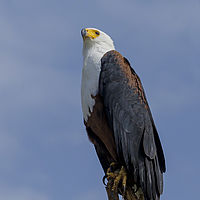 2019-10-22 09-37-42 211056001543