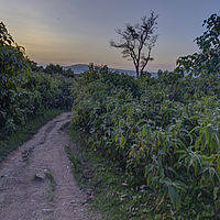 2019-10-24 18-13-44 211056001543 hdr