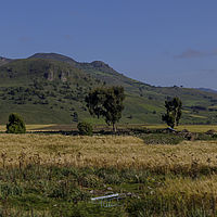 2019-10-27 08-12-01 211056001543