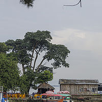 2019-11-07 08-14-39 211056001543