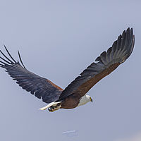 2019-11-07 09-23-36 211056001543