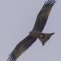 2019-11-08 13-05-02 211056001543