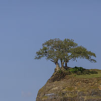 2019-11-18 14-38-01 211056001543-4
