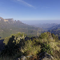 2019-11-21 08-04-13 211056001543