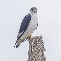 2019-11-20 12-07-48 211056001543-2
