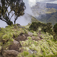 2019-11-20 13-58-30 211056001543-2