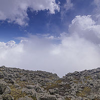 2019-11-21 12-08-12 211056001543