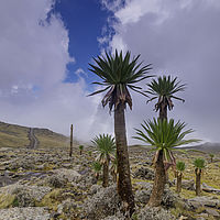 2019-11-21 12-21-38 211056001543