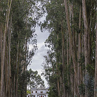 2020-01-20 12-30-08 211056001543