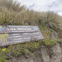 2020-01-20 11-00-22 211056001543