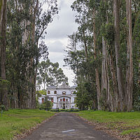 2020-01-20 12-31-32 211056001543
