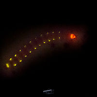 2021-04-08 15-49-51 211056001543