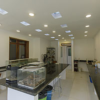 2021-05-05 08-08-34 211056001543