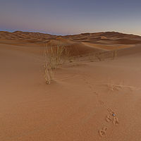 2021-11-08 18-28-39 211056001543