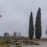 2021-11-03 11-30-30 211056001543