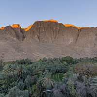 2021-11-08 07-48-18 211056001543