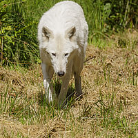 2021-08-20 11-54-18 211056001543-3