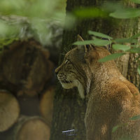 2021-08-20 12-14-09 211056001543