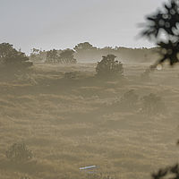 2022-02-20 06-57-09 211056001543