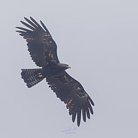 2022-02-20 10-02-23 211056001543-3