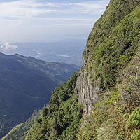 2022-02-20 08-38-46 211056001543