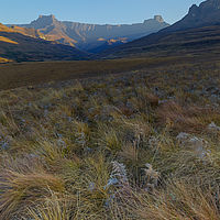 2022-07-11 16-31-01 211056001543 hdr
